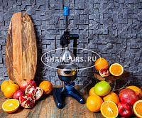 Чугунный пресс для гранатов и цитрусовых KALE 1701 синий