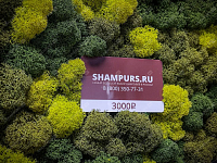 Подарочный сертификат на 3000 рублей